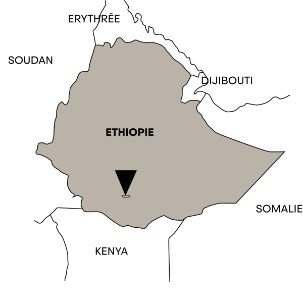 Éthiopie Sidamo Bio